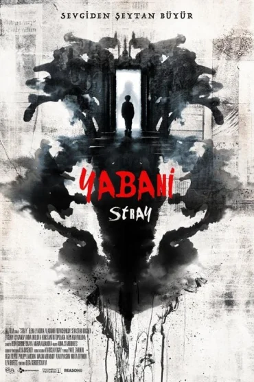 Yabani - Stray
